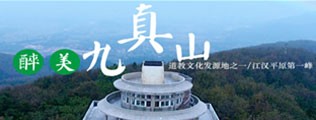 大屌电影网区