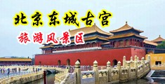 哦哦哦用力插视频中国北京-东城古宫旅游风景区